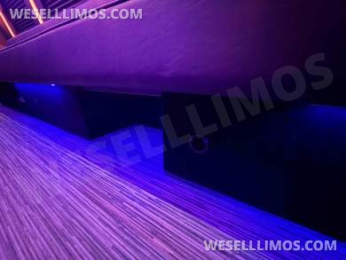 2026 LGE Coachworks Ford Limo Bus/Party Bus E450 Limo Bus - Limo Bus for Sale in North East, PA - Photo 4