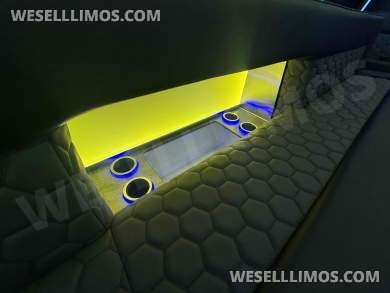 2026 LGE Coachworks Ford Limo Bus/Party Bus E450 Limo Bus - Limo Bus for Sale in North East, PA - Photo 5