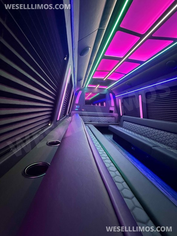 2026 Ford Limo Bus/Party Bus E450 Limo Bus for Sale in North East, PA - Photo 3