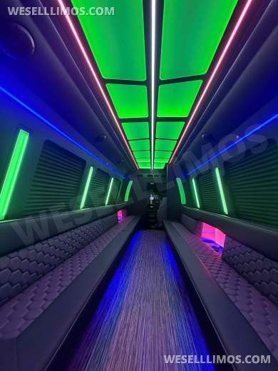 2026 LGE Coachworks Ford Limo Bus/Party Bus E450 Limo Bus - Limo Bus for Sale in North East, PA - Photo 10