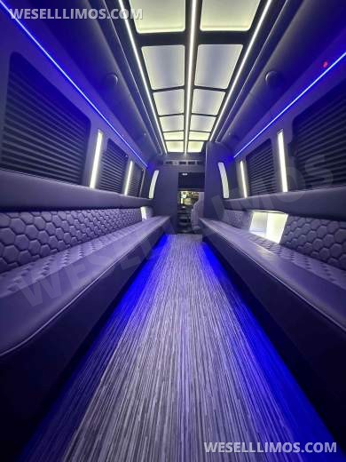 2026 LGE Coachworks Ford Limo Bus/Party Bus E450 Limo Bus - Limo Bus for Sale in North East, PA - Photo 11