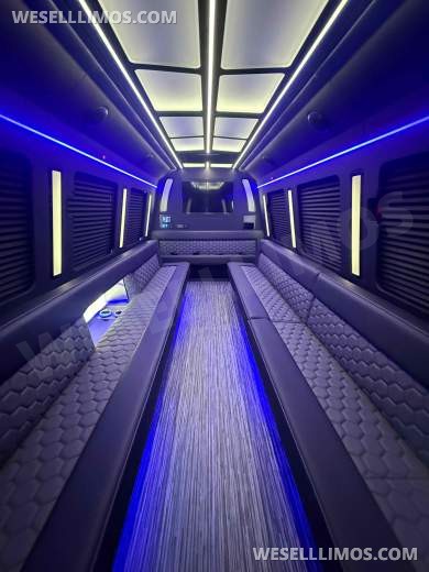 2026 LGE Coachworks Ford Limo Bus/Party Bus E450 Limo Bus - Limo Bus for Sale in North East, PA - Photo 13