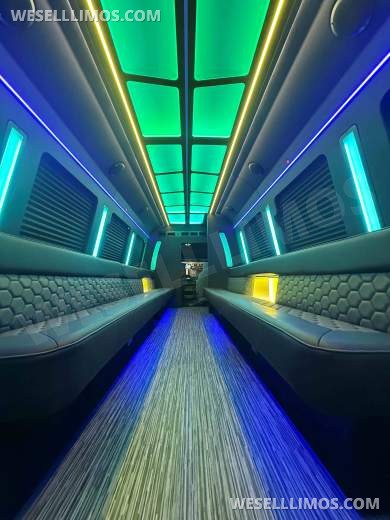 2026 LGE Coachworks Ford Limo Bus/Party Bus E450 Limo Bus - Limo Bus for Sale in North East, PA - Photo 14
