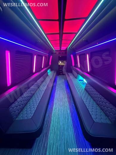2026 LGE Coachworks Ford Limo Bus/Party Bus E450 Limo Bus - Limo Bus for Sale in North East, PA - Photo 15