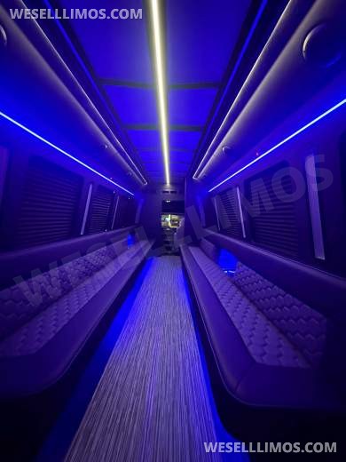 2026 LGE Coachworks Ford Limo Bus/Party Bus E450 Limo Bus - Limo Bus for Sale in North East, PA - Photo 17