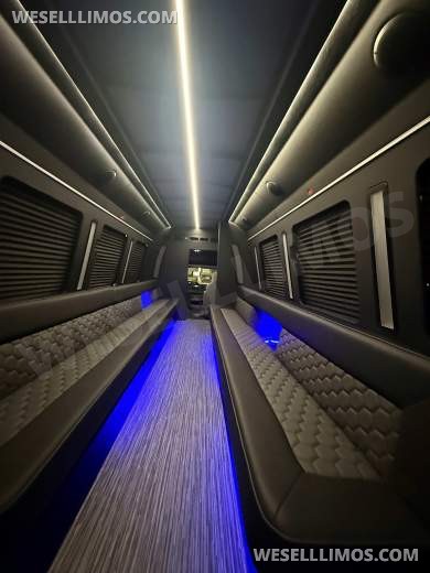 2026 LGE Coachworks Ford Limo Bus/Party Bus E450 Limo Bus - Limo Bus for Sale in North East, PA - Photo 16