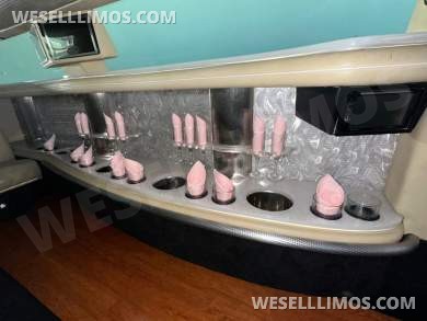 2015 Pinnacle Limousine Chrysler 300 Limousine - Limousine for Sale in CARSON, CA - Photo 9