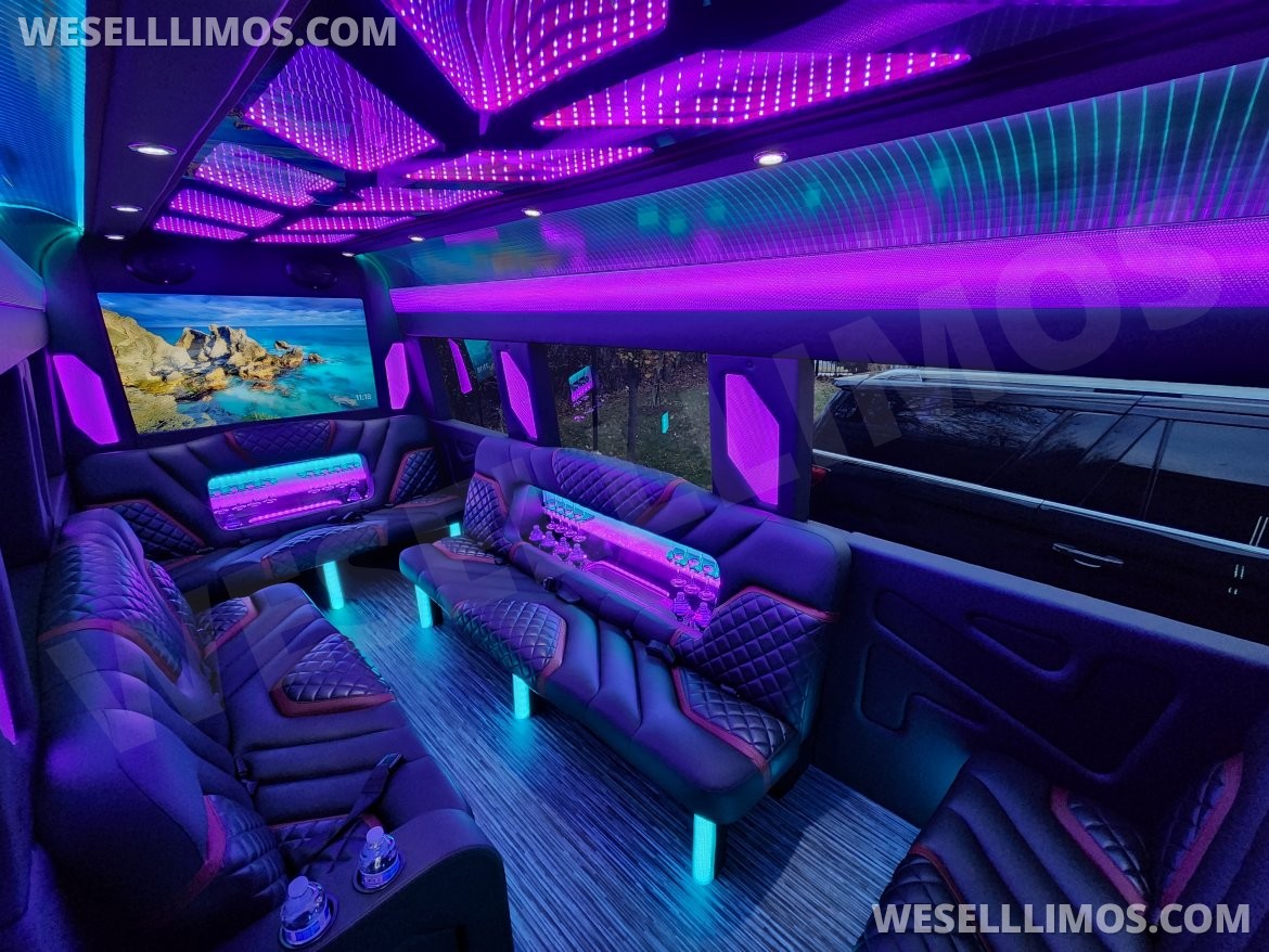 Limo Bus for Sale in Sterling, VA - Photo 6