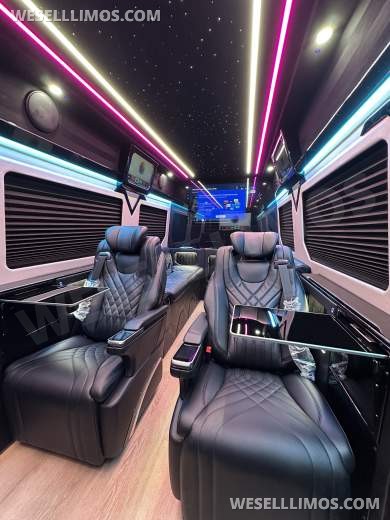 2026 Mercedes-Benz Luxury VIP Jet On Wheels Sprinter for Sale in Atlanta, GA