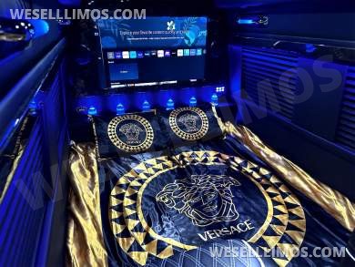 New Starlight Ceiling AMG Trim 14 Passenger Road Liner Limousine 2024 Auto Elite MB Sprinter - Sprinter for Sale in Elkhart, IN - Photo 9