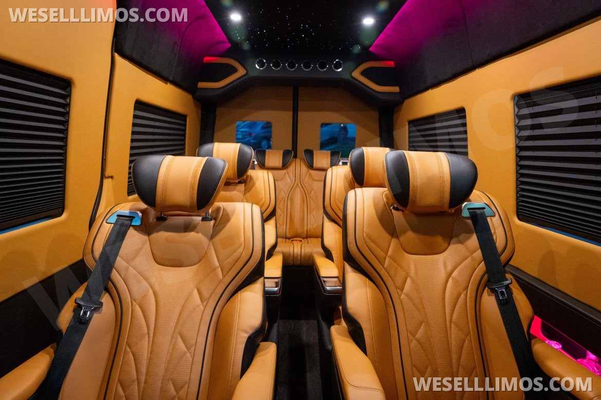 Exotic for Sale in Los Angeles, CA - Photo 3