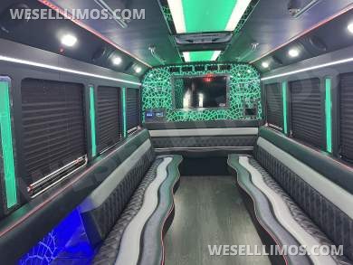 2018 Ford E450 Limo Bus for Sale in Pasadena, MD