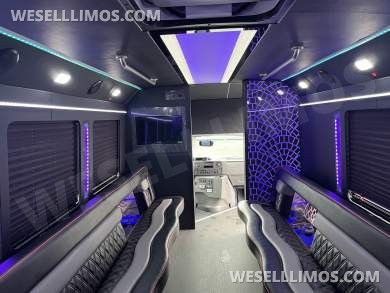 2018 LGE Ford E450 Limo Bus - Limo Bus for Sale in Pasadena, MD - Photo 8