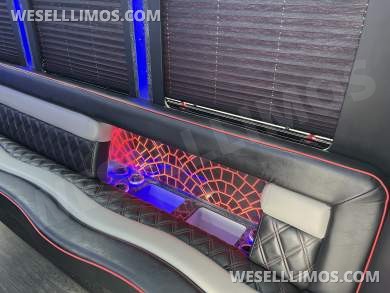2018 LGE Ford E450 Limo Bus - Limo Bus for Sale in Pasadena, MD - Photo 9