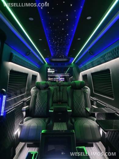 Brand New Global Motor Coach Mercedes-Benz CEO/JET Sprinter - Sprinter for Sale in Erie, PA - Photo 9