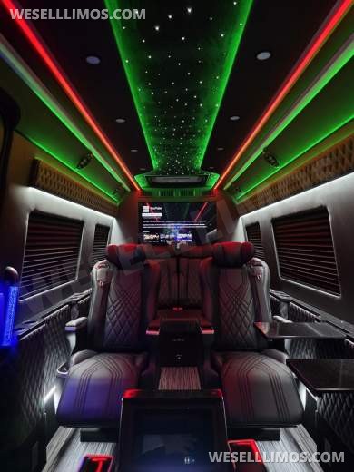 Brand New Global Motor Coach Mercedes-Benz CEO/JET Sprinter - Sprinter for Sale in Erie, PA - Photo 10