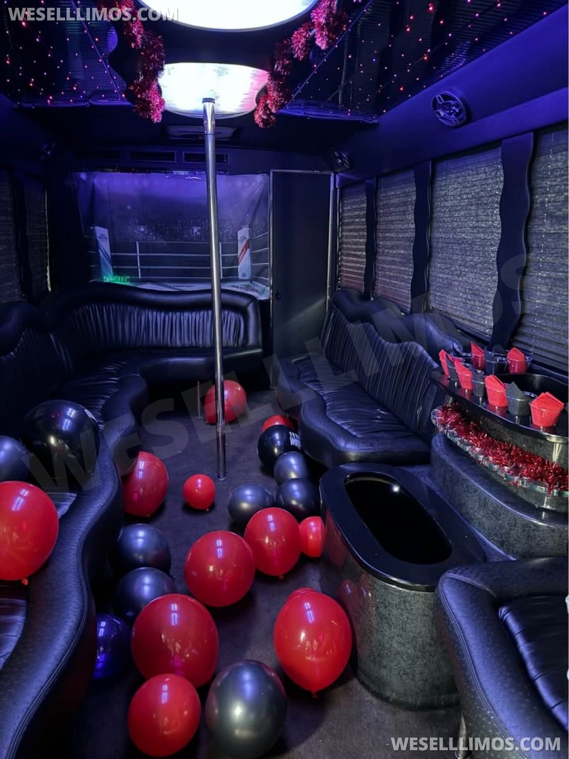 Limo Bus for Sale in Steubenville, OH - Photo 11