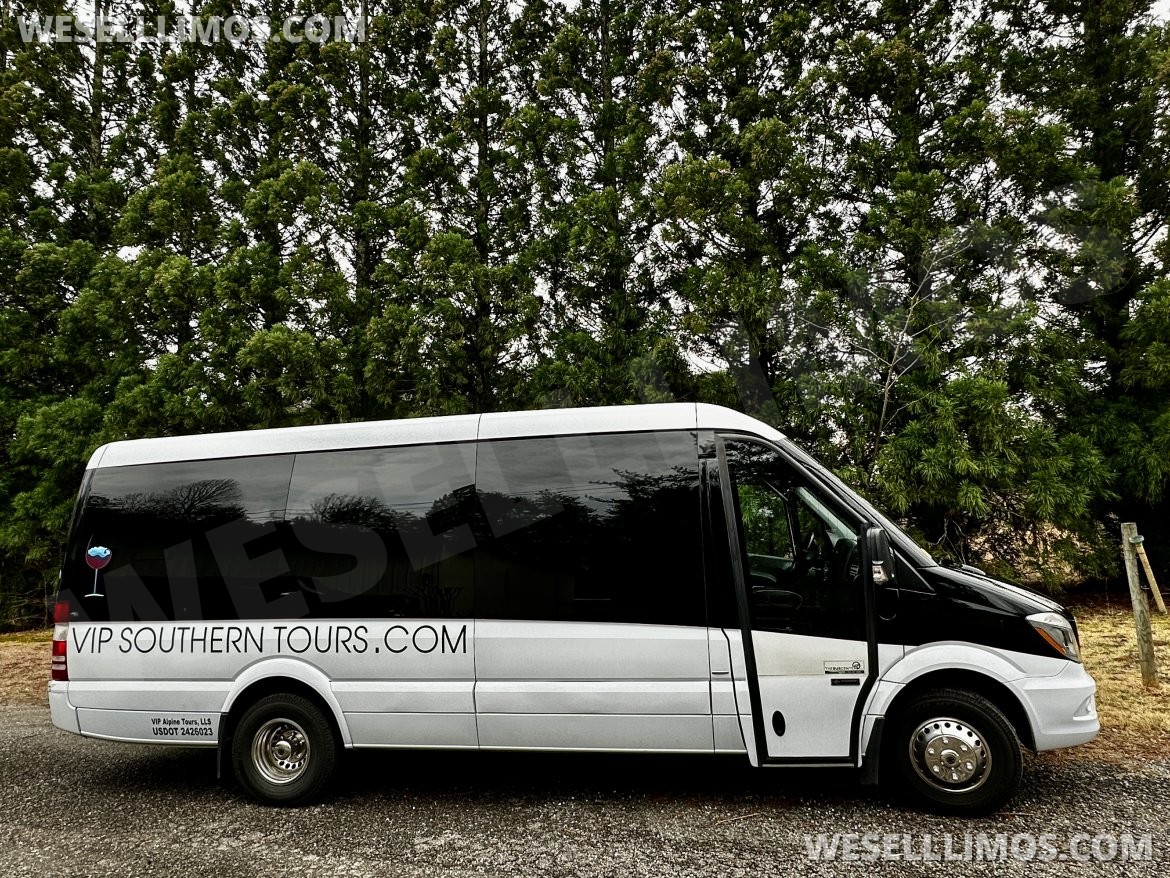 Sprinter for Sale in Helen, GA - Main Photo
