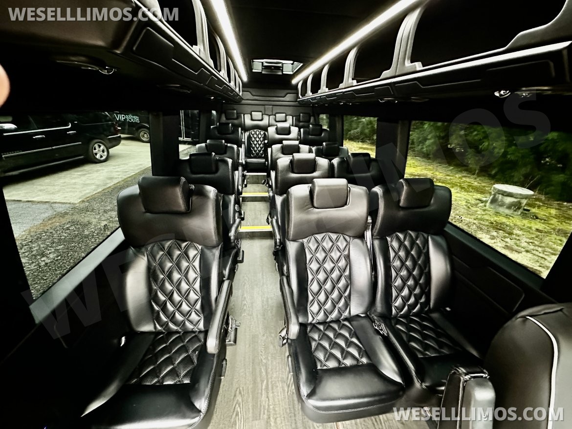Sprinter for Sale in Helen, GA - Photo 3