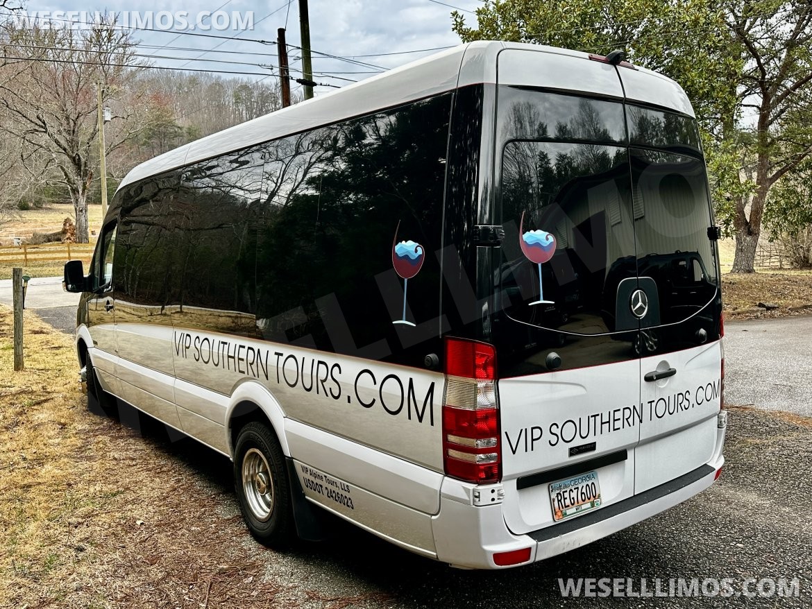 Sprinter for Sale in Helen, GA - Photo 9