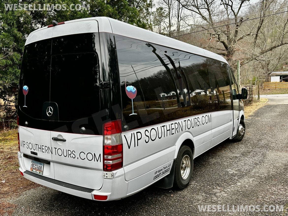 Sprinter for Sale in Helen, GA - Photo 10