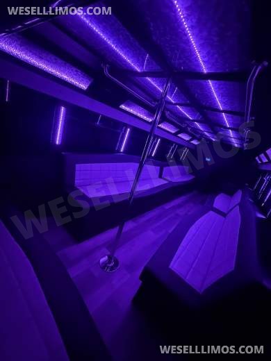 2013 Ford F-550 Limo Bus - Limo Bus for Sale in houston, TX - Photo 15