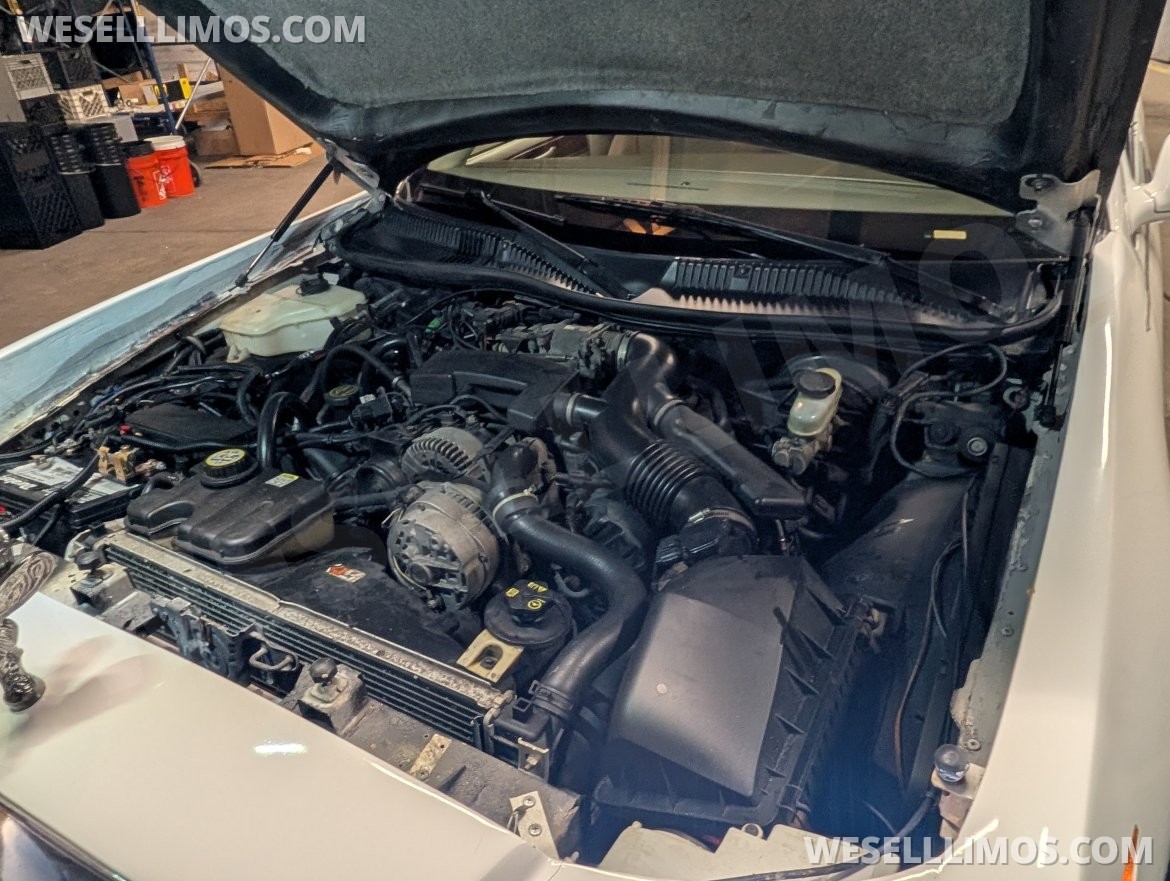 Limousine for Sale in Hazel park, MI - Photo 6