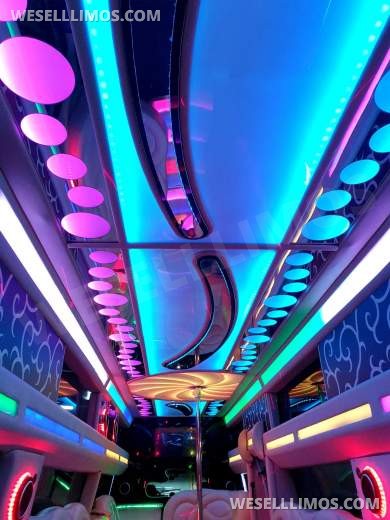 2005 EuroLimo Hummer H2 Limousine - Limousine for Sale in Kaunas, lt - Photo 12