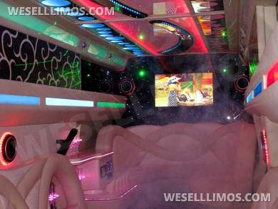 2005 EuroLimo Hummer H2 Limousine - Limousine for Sale in Kaunas, lt - Photo 14