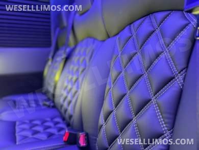 2026 Global Motor Coach Mercedes-Benz Sprinter Executive Shuttle - Executive Shuttle for Sale in Erie, PA - Photo 29