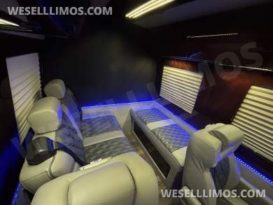 2014 Level Up Customs Mercedes-Benz Sprinter 3500 Daycruiser - Sprinter for Sale in Richmond, VA - Photo 32