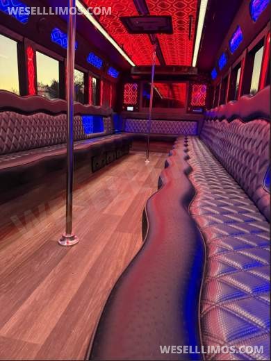 2022 First Class Coach Works  Ford F-650 Limo Bus - Limo Bus for Sale in Orlando, FL - Photo 10