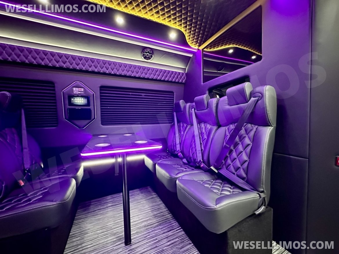 Executive Shuttle for Sale in Erie, PA - Photo 4