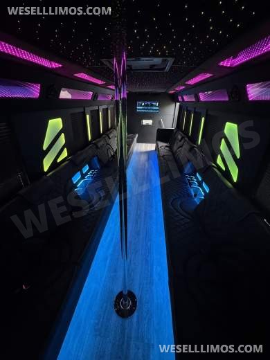 2020 Brand New Freightliner S2 Limo Bus - Limo Bus for Sale in LA, CA - Photo 19