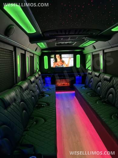 2020 Brand New Freightliner S2 Limo Bus - Limo Bus for Sale in LA, CA - Photo 21