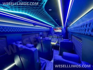 2026 Global Motor Coach Mercedes-Benz Sprinter Executive Shuttle - Executive Shuttle for Sale in Erie, PA - Photo 10