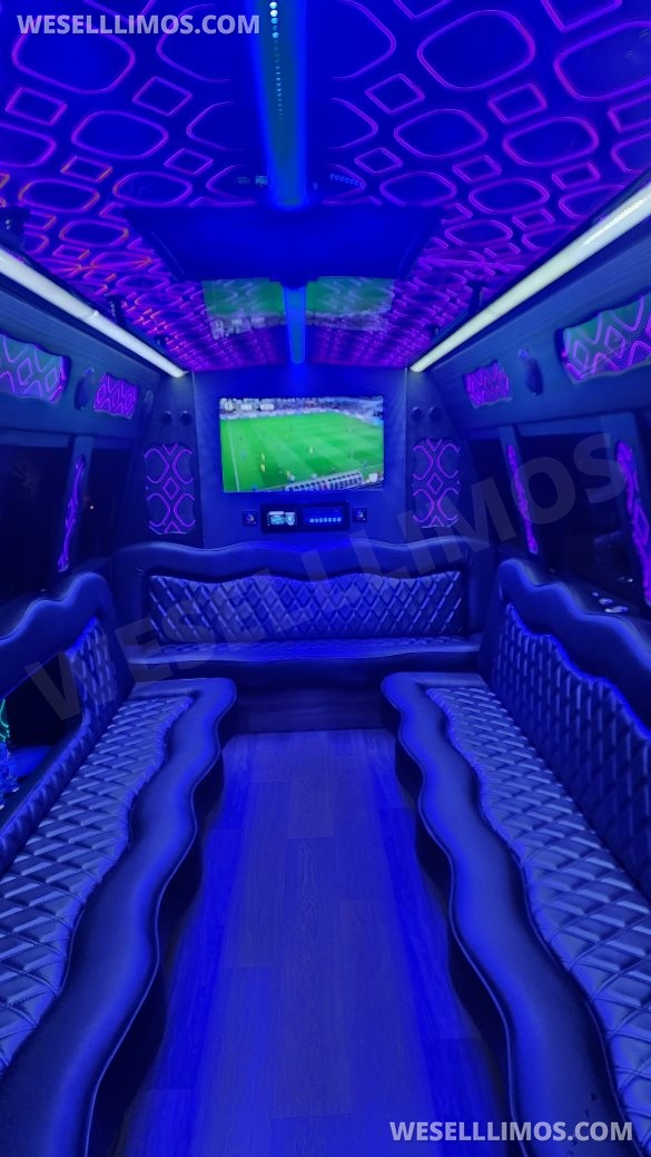 2016 Ford E450 Limo Bus for Sale in Orlando, FL - Photo 3
