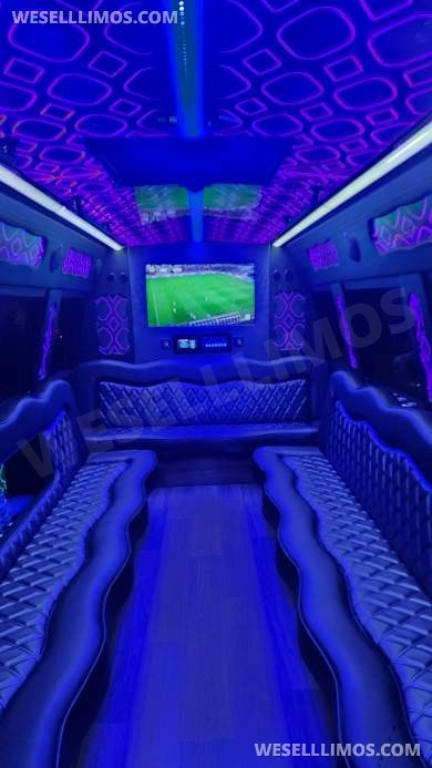 2016 Grech Body upfitted by First Class Coachworks Ford E450 Limo Bus - Limo Bus for Sale in Orlando, FL - Photo 3