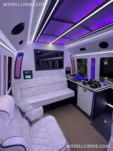 2022 LGE ford f-600 Limo Bus 6.7l power stroke v8 turbo diesel premium reclining captain chairs - Limo Bus for Sale in SCOTTSDALE, AZ - Photo 9