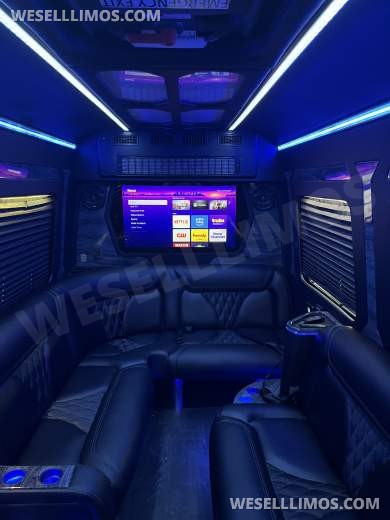 2018 Grech Mercedes-Benz Sprinter 3500 Limo Bus - Limo Bus for Sale in Dallas, AL - Photo 10