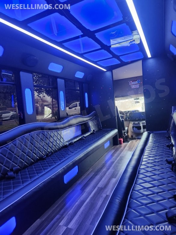 2014 Ford e450 Limo Bus for Sale in pepper Pike, OH - Photo 3