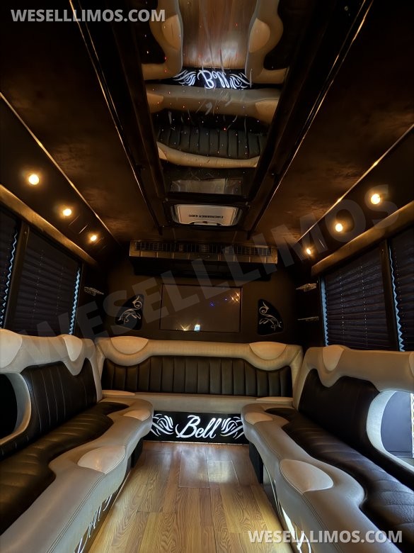 2006 Ford E-450 Limo Bus for Sale in Las Vegas, NV - Photo 3