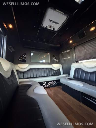 2006 Ford E-450 Custom Limo/Party Bus Diesel 23-25 Passenger - Limo Bus for Sale in Las Vegas, NV - Photo 50