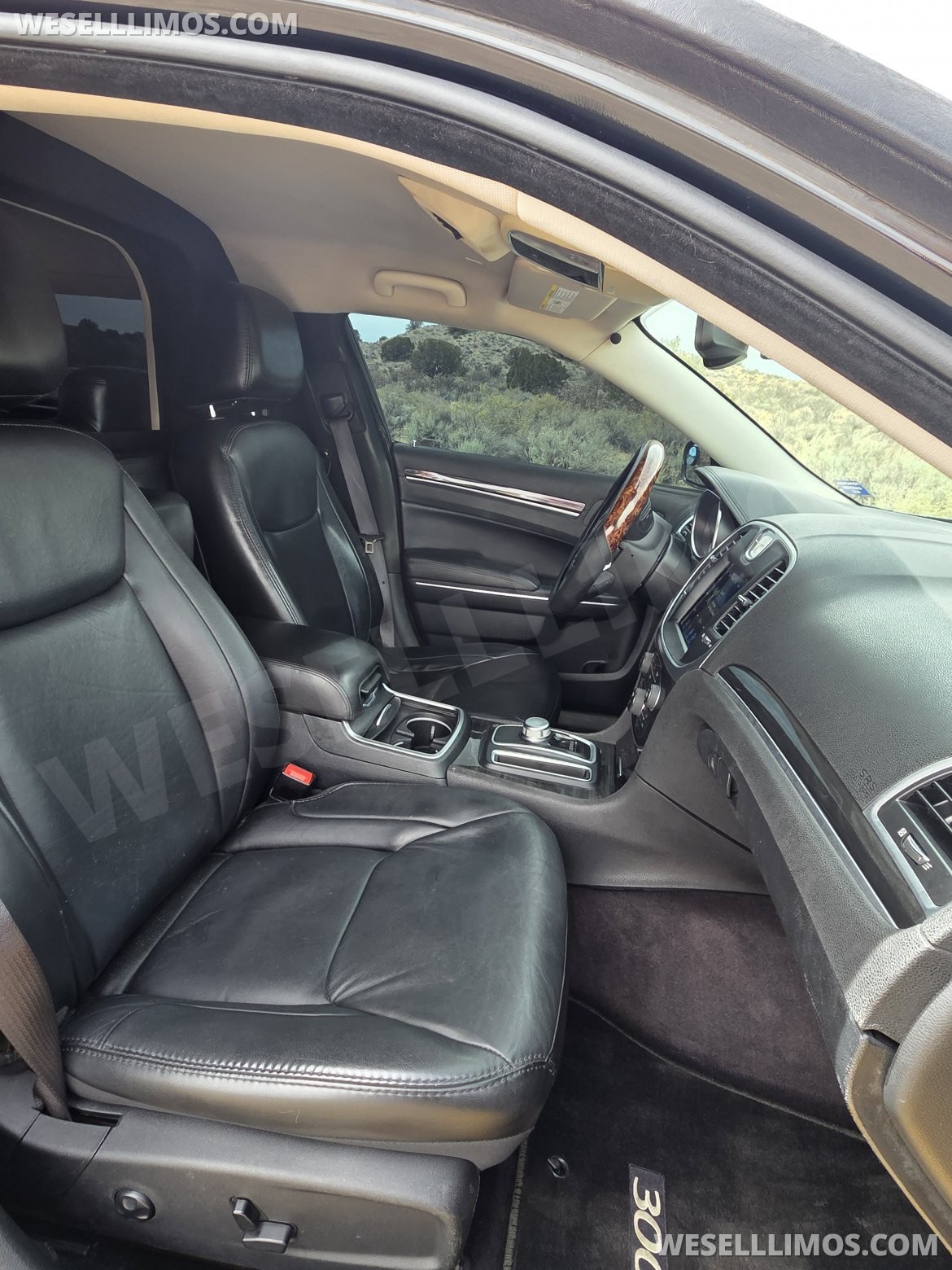 Limousine for Sale in Rio Rancho, NM - Photo 11