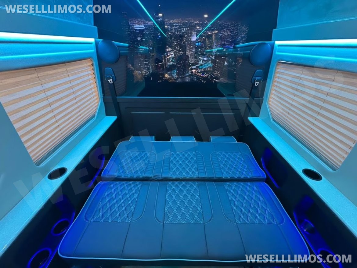 Executive Shuttle for Sale in Duluth, GA - Photo 12