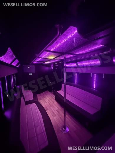 2019 Ford E-450 Limo Bus - Limo Bus for Sale in houston, TX - Photo 10