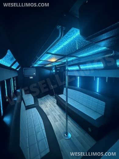 2019 Ford E-450 Limo Bus - Limo Bus for Sale in houston, TX - Photo 11