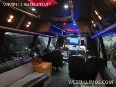 2011 Ameritrans Ford E450 Limo Bus - Limo Bus for Sale in Erie, PA - Photo 18