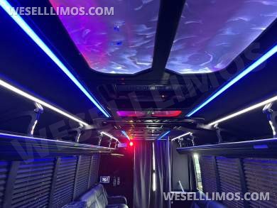 2019 Grech Ford F550 Limo Bus - Limo Bus for Sale in Pasadena, MD - Photo 9