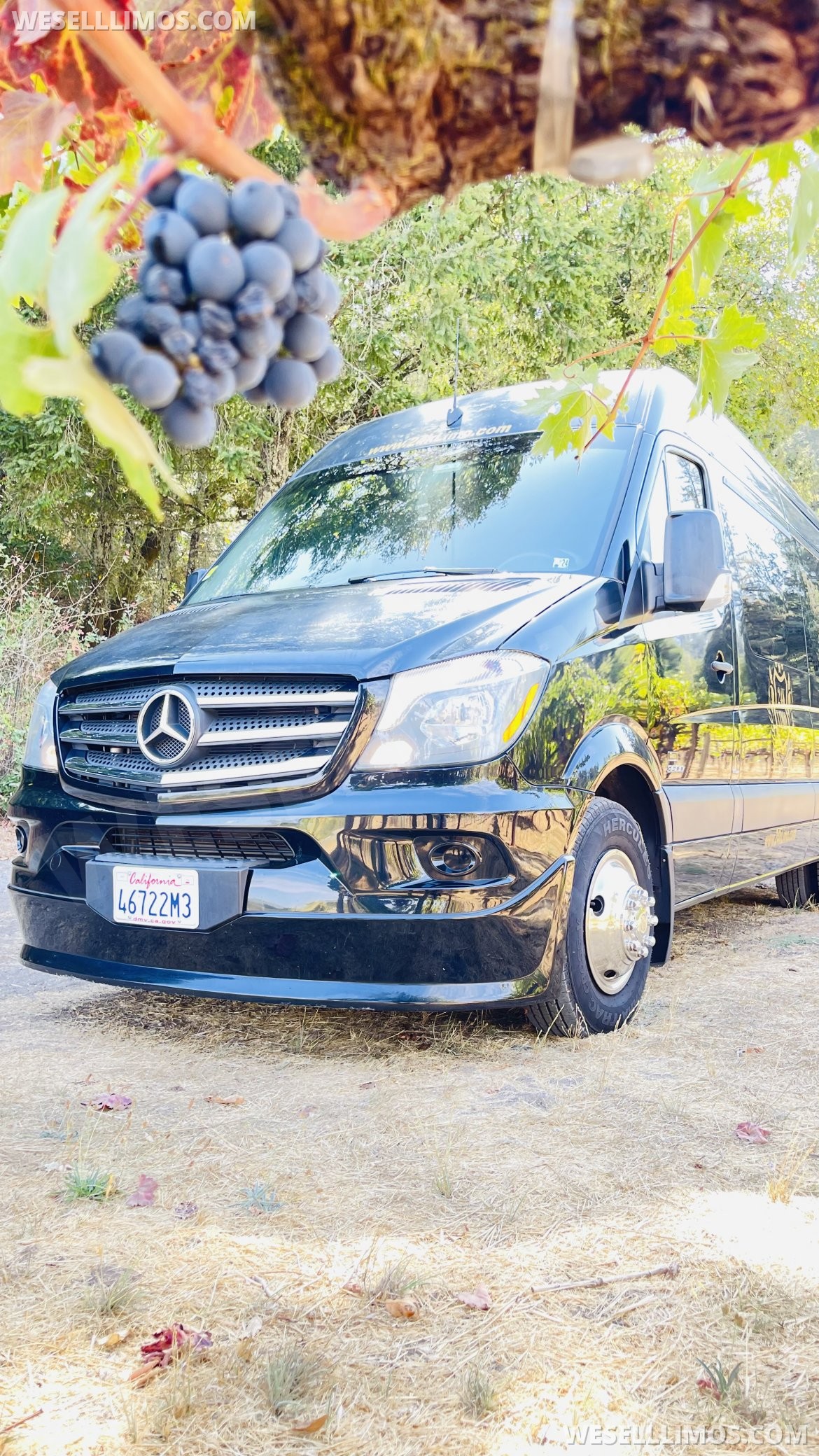 Sprinter for Sale in Hayward, CA - Photo 4